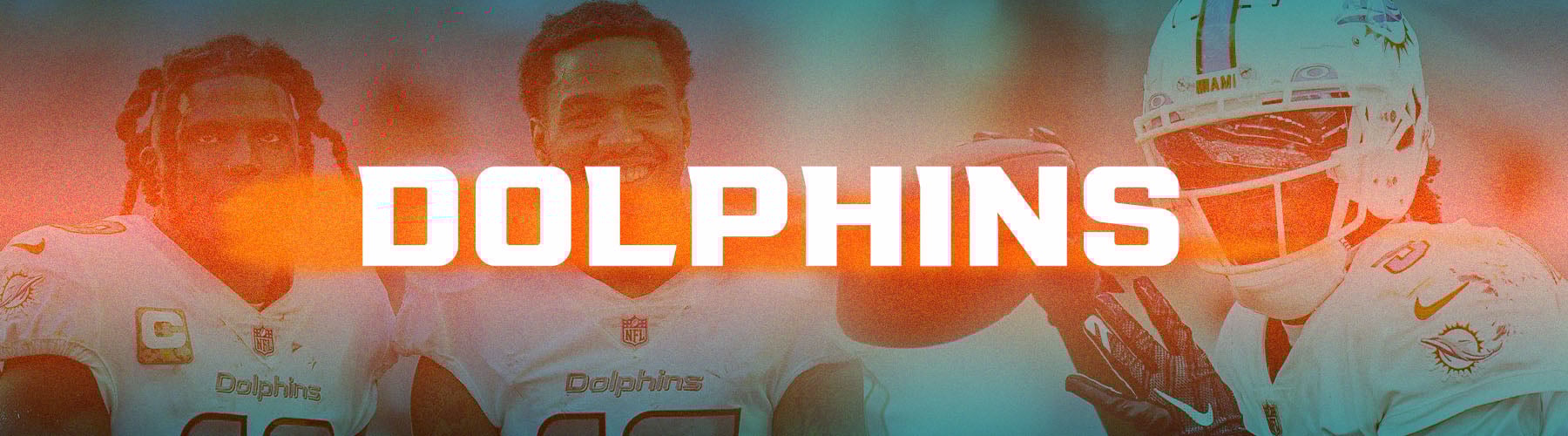 Dolphins Team Header Splah